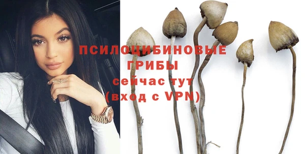 ALPHA PVP Алексин