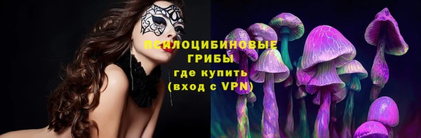 шишки Алзамай