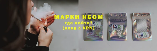 шишки Алзамай