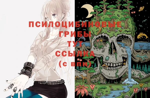 кокс Алексеевка