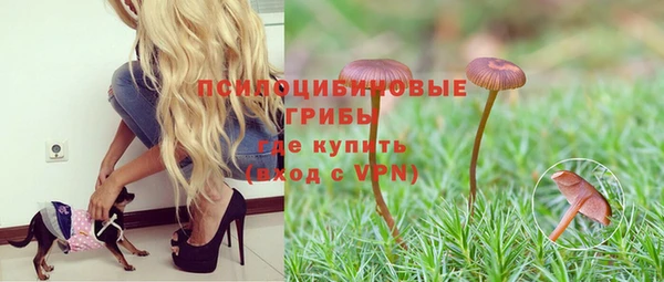 шишки Алзамай