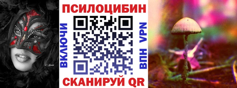 купить  цена  Болгар  Галлюциногенные грибы GOLDEN TEACHER 
